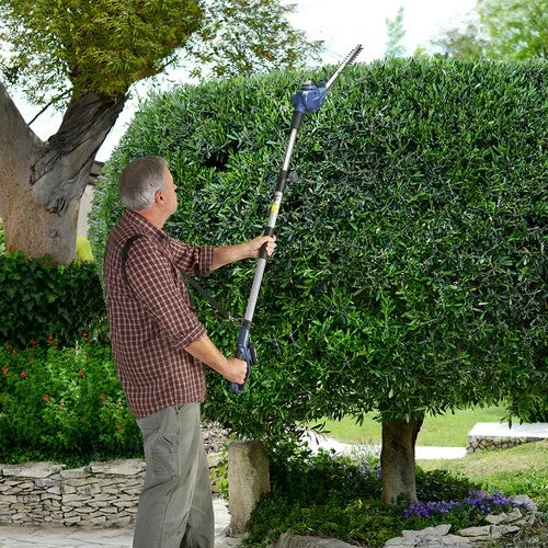 Rockwell 18V Pole Hedge Trimmer Skin RG8259.9